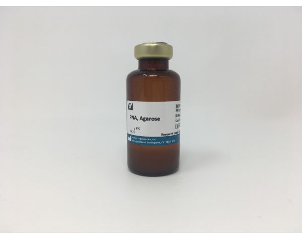 Peanut Agglutinin (PNA), Agarose bound