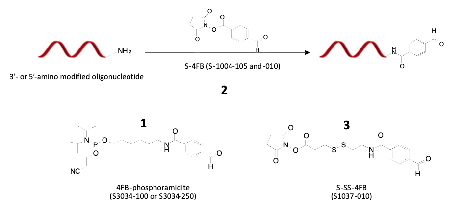 Protein–Oligonucleotide Conjugation Kit