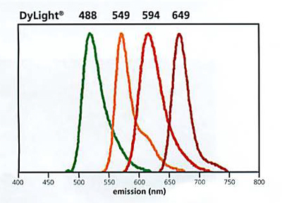 Goat Anti-Rabbit IgG Antibody (H+L), DyLight® 549