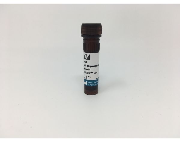 Goat Anti-Digoxigenin/Digoxin (DIG) Antibody, DyLight® 594