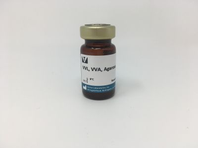 Vicia Villosa Lectin (VVL, VVA), Biotinylated