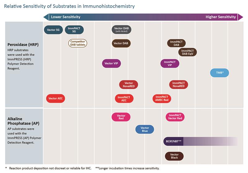 ImmPACT® SG Substrate, Peroxidase (HRP)