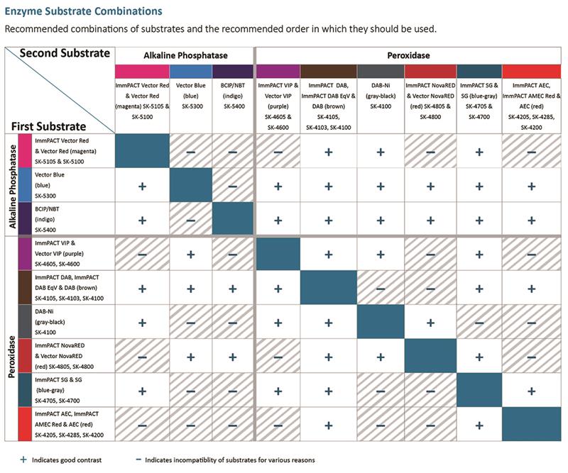 ImmPACT® SG Substrate, Peroxidase (HRP)