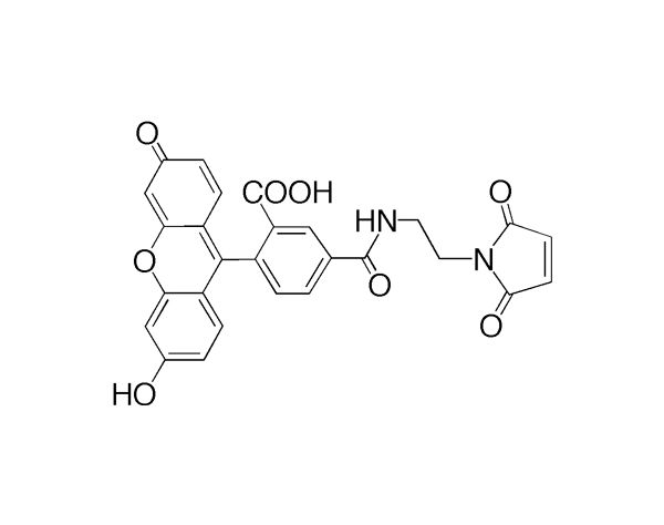 Fluorescein Maleimide