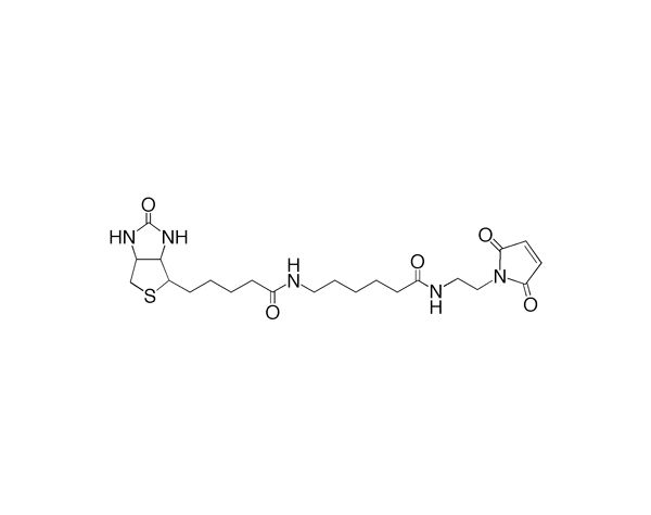 Biotin (Long Arm) Maleimide