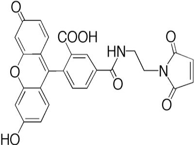 Biotin (Long Arm) Maleimide