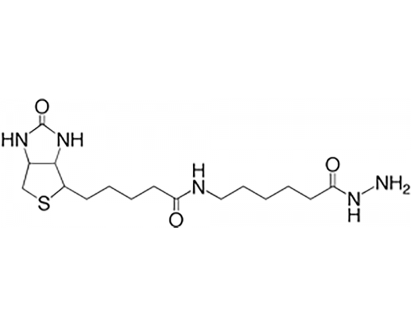 Biotin (Long Arm) Hydrazide