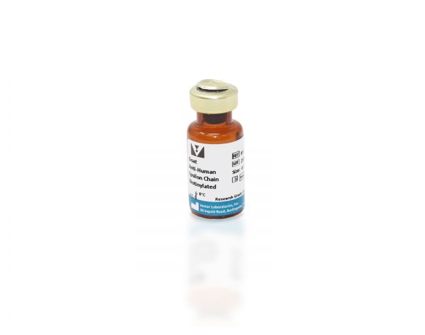 Goat Anti-Human IgE Antibody, epsilon chain specific, Biotinylated