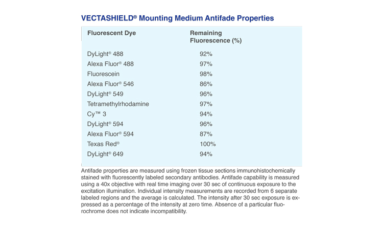 VECTASHIELD® Antifade Mounting Medium with DAPI