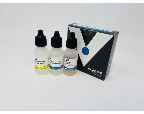 VectaFluor™ Excel Amplified Anti-Mouse IgG, DyLight® 594 Antibody Kit