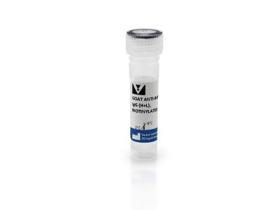 VECTASTAIN® ABC-HRP Kit, Peroxidase (Rabbit IgG)