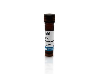 Lens Culinaris Agglutinin (LCA), Biotinylated