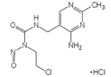 烷基化剂成分