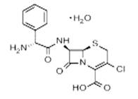 头孢烯素类抗生物质