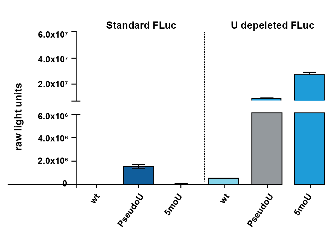 CleanCap® mRNA                              含Capping结构的高活性mRNA