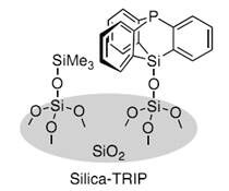 硅胶负载型篮式结构催化剂                              Silica-SMAP、Silica-TRIP