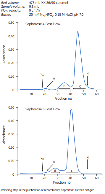 GE Sepharose Fast Flow尺寸排阻填料